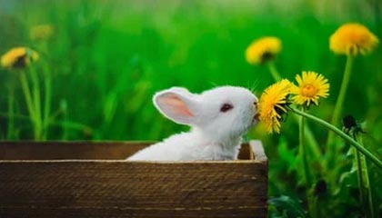 AYX体育官网-马德里竞技不敌曼城，憾失欧冠四强，马德里竞技欧冠最好成绩