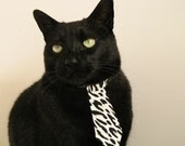 _森林狼奋力追赶,目标渴望季后赛_,森林狼队首发