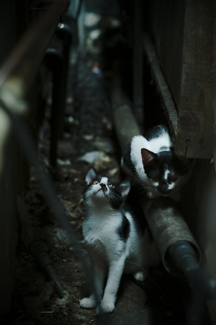 爱游戏体育（AYX）官方APP下载-尼斯防守稳固，期待打破僵局，尼斯在哪