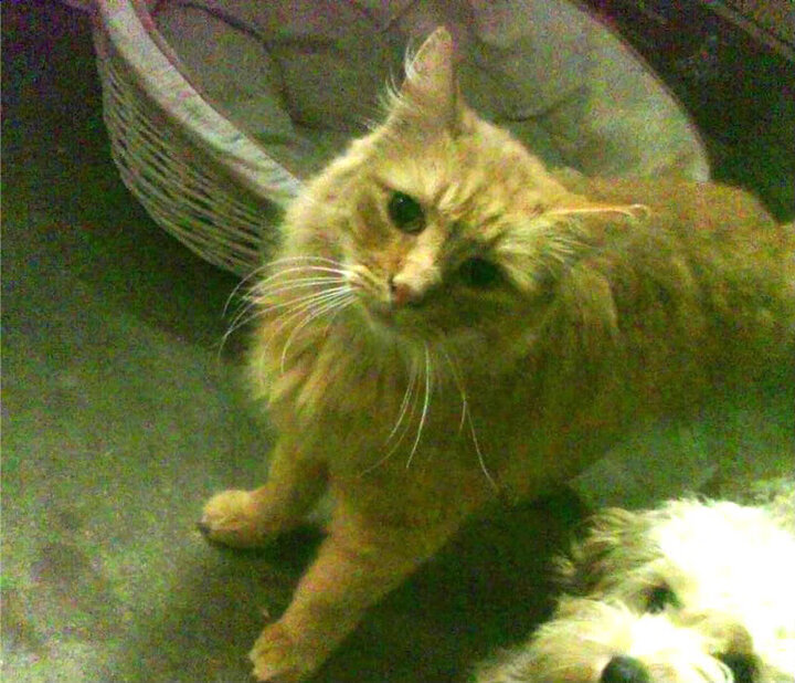 爱游戏app-最佳团队：完整阵容和团队合作分析，最佳团队规模