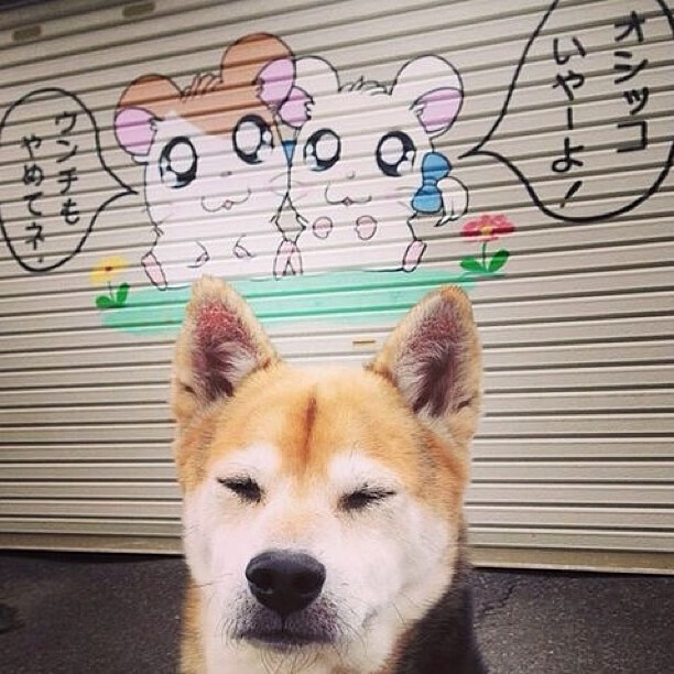 爱游戏综合娱乐-未来几年，哪些年轻球员值得期待？，未来几年,哪些年轻球员值得期待呢