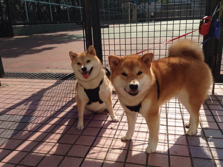 莱美推出全新普拉提课程LESMILLS PILATES,登陆中国市场,莱州普拉提