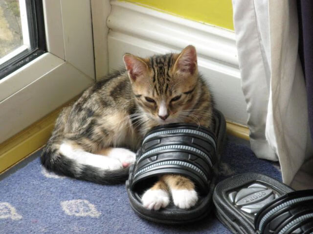 爱游戏电竞官网-防守反击：现代足球的制胜法宝，足球中的防守战术