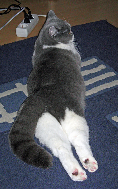 爱游戏官方网站-决赛在即：欧洲国家队将与对手争夺冠军，欧洲国家队比赛日时间安排