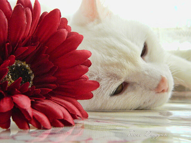 爱游戏app下载-热火季后赛首轮出局，球队面临阵容调整，热火季后赛赛程