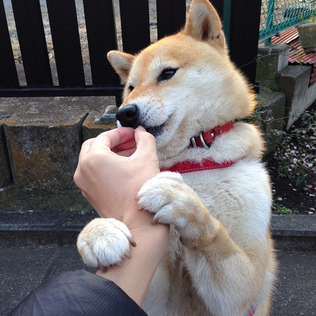 爱游戏娱乐网址-竞技场内外，乔治发威主导快船逆转，太阳夜败，乔治快船打什么位置