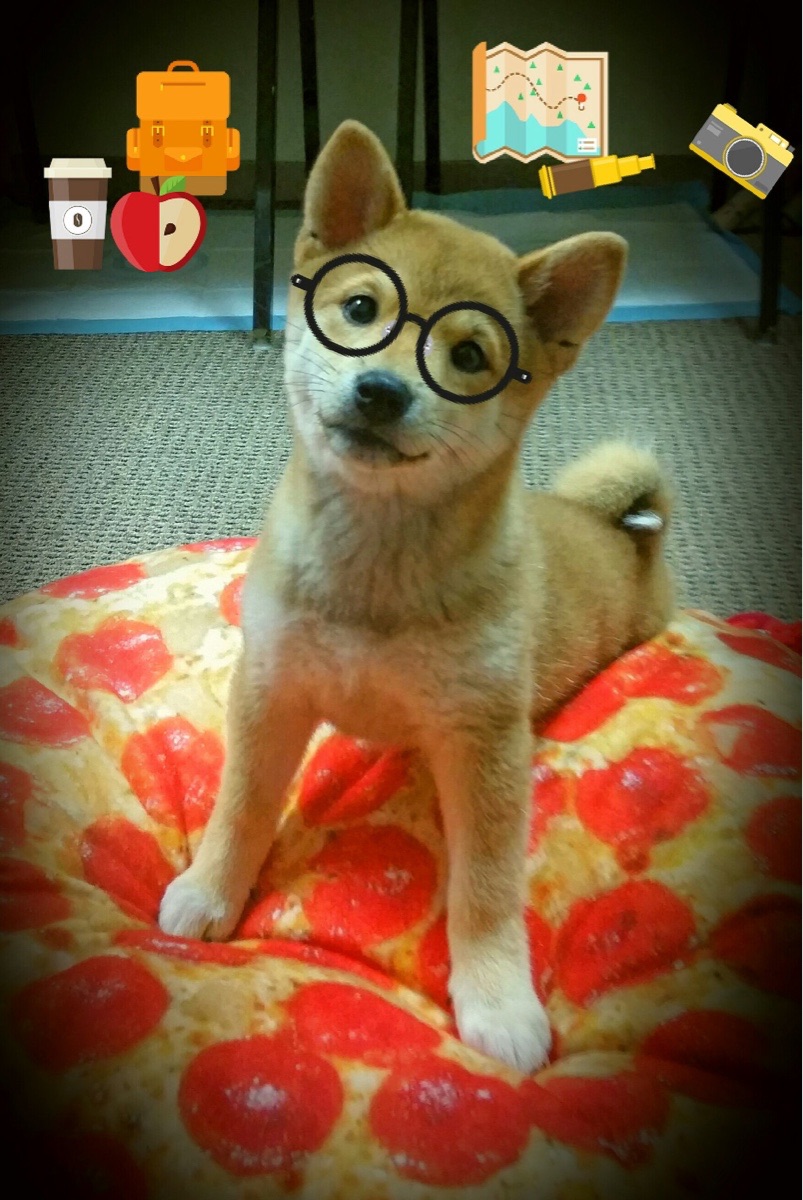 英超裁判采用语义权重排序优化对抗犯规处理流程，英超裁判出牌统计