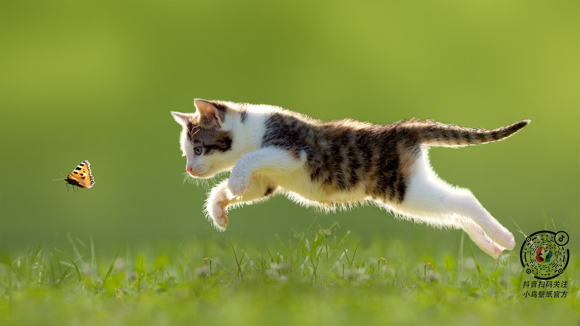 运动装备技术革新趋势,运动装备技术革新趋势有哪些