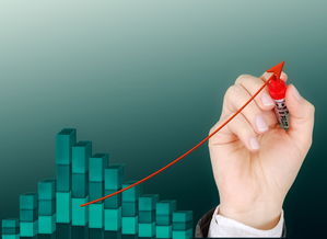 爱游戏下载-运动项目职业路径设计与发展研究，运动职业化