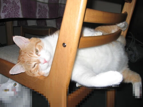 爱游戏官网-女子200蝶两强之争，谁掌控节奏？，女子200米蝶泳百度百科