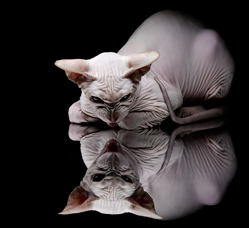 爱游戏 电竞-中超俱乐部启动青训家长会加强家庭沟通机制，足球队家长会教练讲什么