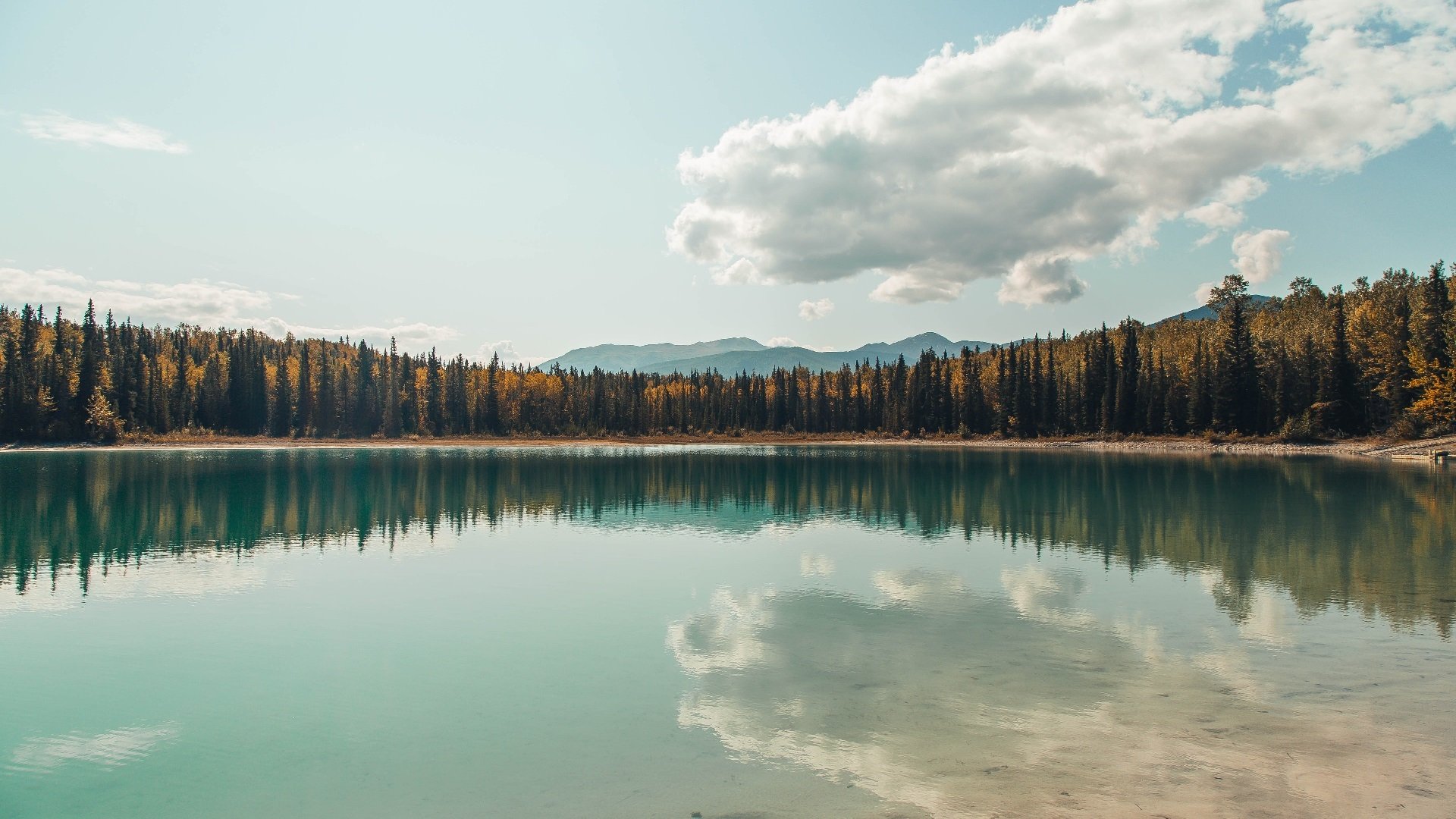 南美青年锦标赛,哥伦比亚队展示青春盛宴,目标奥运门票,南美 哥伦比亚