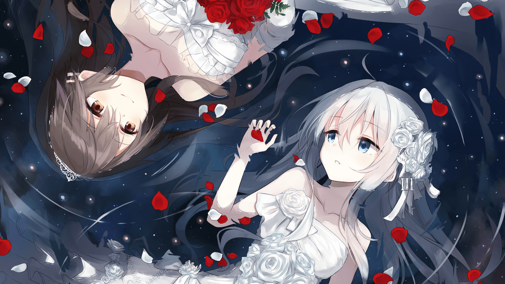 国际跳水大奖赛中国队包揽金银，国际跳水委员会